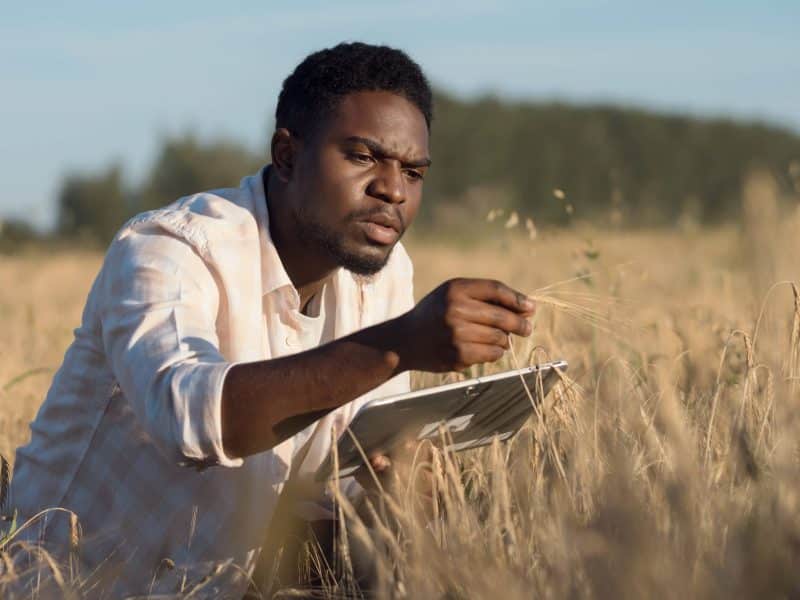Racism: an ongoing problem for Black farmers