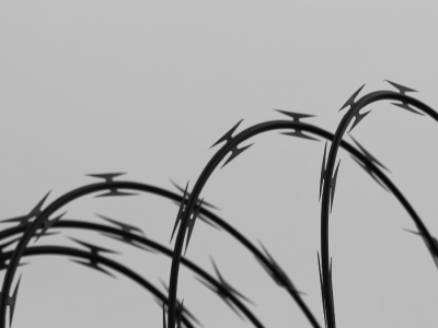 An illustration of black barbed wire against a gray background